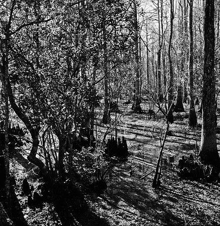 7747_FL_BW_LOUISIANA_01_9.jpg