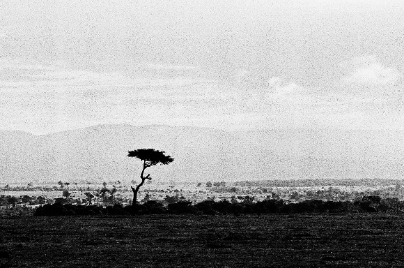 B3_82003_BW_194_New_Sarengety_Africa_89_1