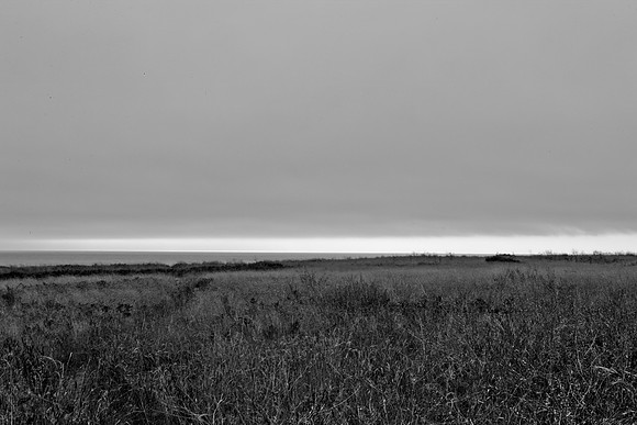 5L8Y0552