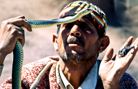 3239_SL_COLOR_TAROUDANNT_MAROCCO_II_1998_4