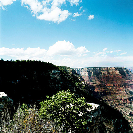 6127_COLOR_SQ_Grand_Cayon_National_Park_ARIZONA_USA_05_4.jpg