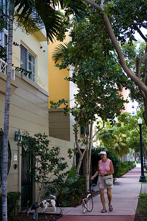 URBAN LANDSCAPE