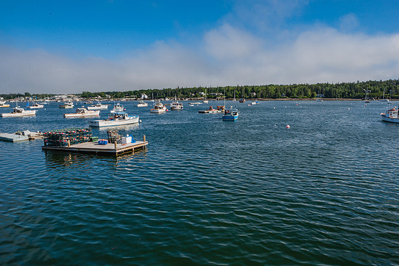 20060628_Maine_ZV4N1185