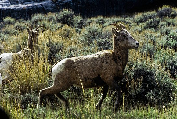 47348_B2_SL_COLOR_US_TOUR_JACKSON_HOLE_GRAND_TETON_WY_97_12.jpg
