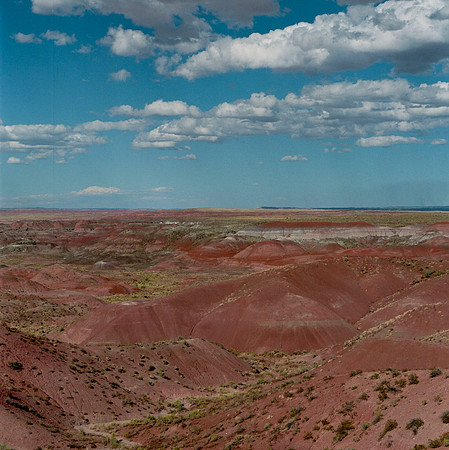 6142_COLOR_SQ_PAINTED_DESERT_AZ_USA_05_3.JPG