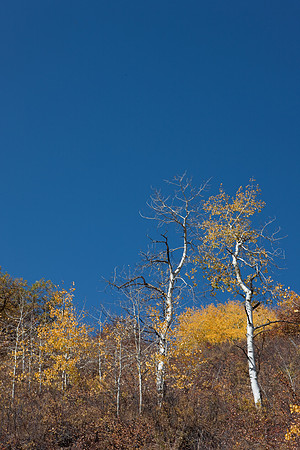 20080828_DVD9_DG_From_Glenwood_Spring_to_Aspen_CO_2008_full_blead