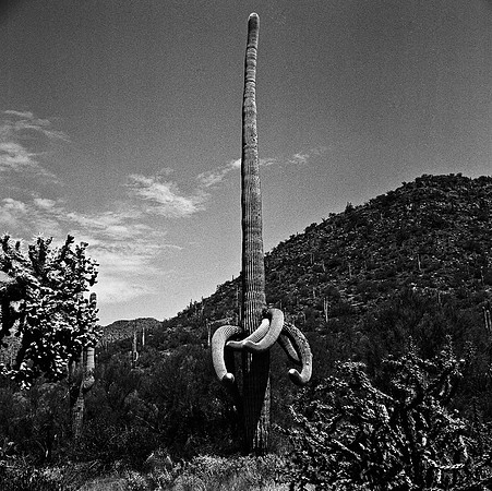 6017_FM_BW_TUCSON_AZ_05_3.jpg