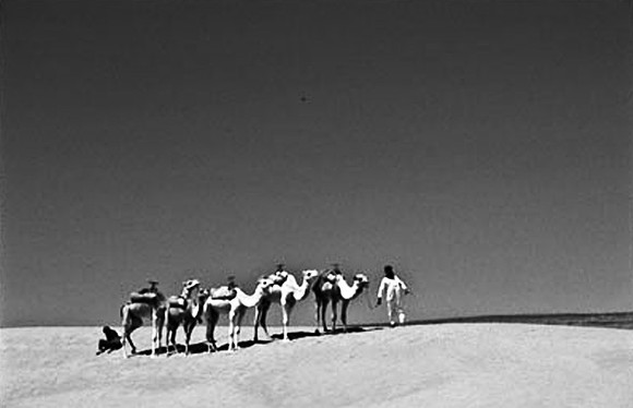 3190_SL_COLOR_TAMGROUTE_DUNES_MAROCCO_II_1998_16