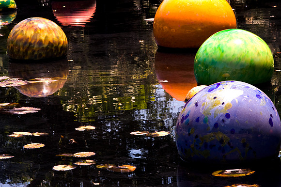 84775_DSC_0092_Fairchild_Garden_Miami_FL_USA