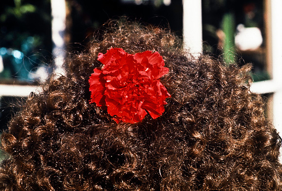 64032_B1_SL_COLOR_NY_80_09.jpg