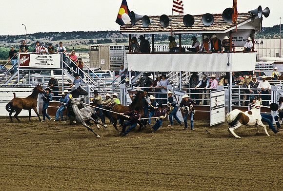 47485_B6_SL_COLOR_TRINIDAD_RODEO_CO_97_11.jpg