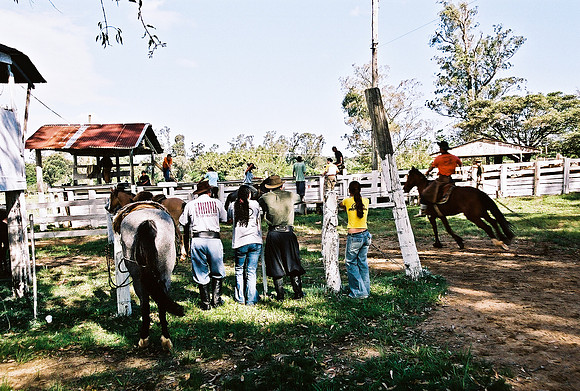 2624_FM_COLOR_35MM_PORTO_ALEGRE_BRAZIL_2004