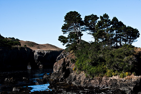 06601_DG_COLOR_MENDOCINO_CALIFORNIA_CA_USA_2007_12-2