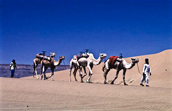 3190_SL_COLOR_TAMGROUTE_DUNES_MAROCCO_II_1998