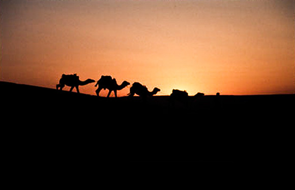 3206_SL_COLOR_MERZOUGA_SHAHARA_MAROCCO_II_1998_17