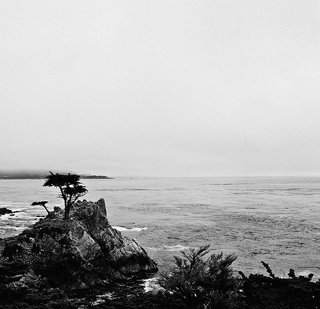 2367_FM_BW_CARMEL_CA_02_9.jpg