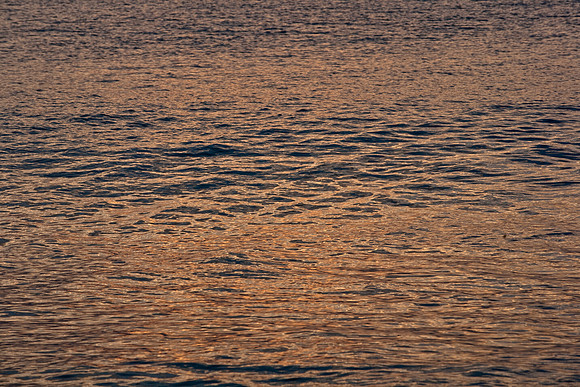 85543_ZV4N7003_Miami_To_Sanibel_Island_FL