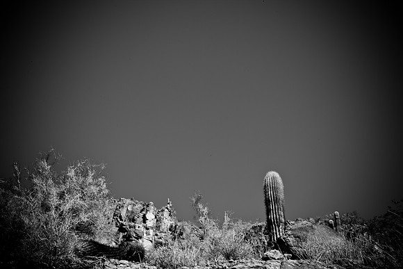 0031_La_Arizona_5L8Y5222