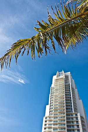 3807_DG_Miami_Beach_FL_5L8Y4689