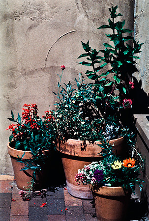 47774_B13_SL_COLOR_SANTA_FE_NEW MEXICO_97_19.jpg