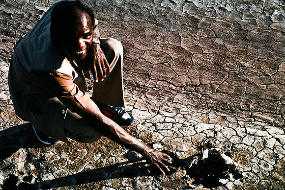 55457_SL_COLOR_LIONS_TRACKS_KENYA_AFRICA_1989_1-2