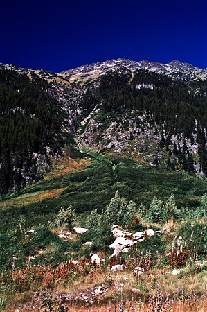 06811_B19_SL_COLOR_WHISTLER_WS_97_16.jpg