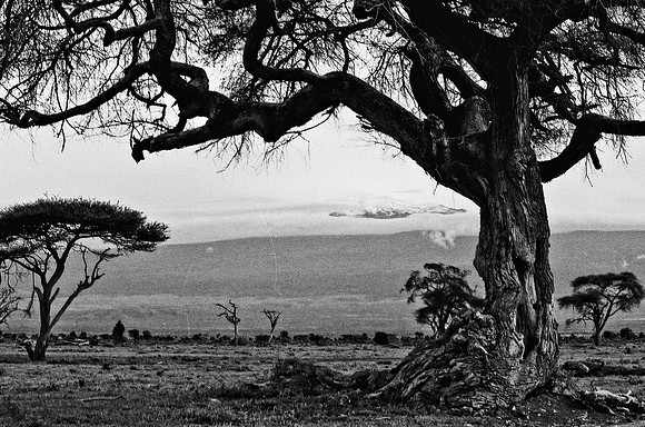 B3_82007_BW_194_New_Masa_Mara_Africa_89_27