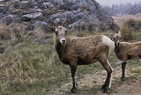 47350_B2_SL_COLOR_US_TOUR_ROCKY_MOUNTAINS_WY_97_05.jpg