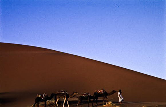 3208_SL_COLOR_MERZOUGA_SHAHARA_MAROCCO_II_1998_10