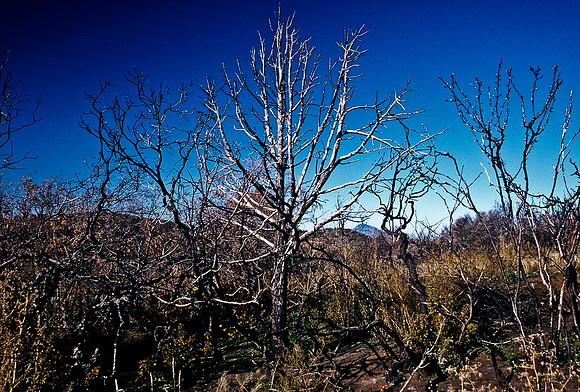47478_B5_SL_COLOR_FROM_DOLORES_TO_CORTEZ_VERDE_NAT_PARK_COLORADO_WY_97_03.jpg