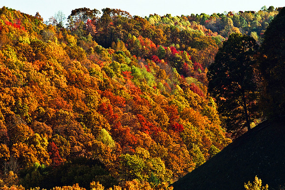 0258_FM_COLOR_MINESOTA_99_72.jpg