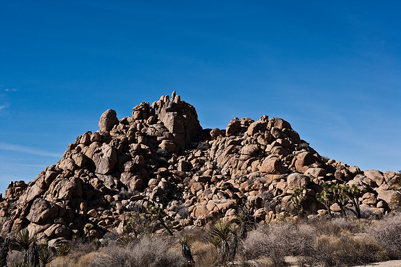 06646_DG_COLOR_JOSHUA_TREE_NAT_PARK_29_PALMS_CALIFORNIA_CA_USA_2007_ZV4N_371