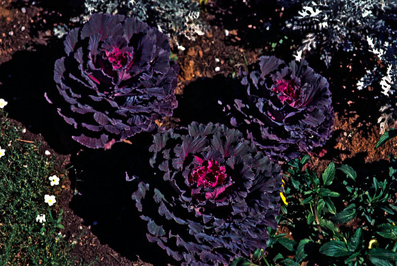 47703_B12_SL_COLOR_SEDONA_TO_CATHEDRAL_ROCK_TO_ENCHANTON_RESORT_AZ_97_14.jpg