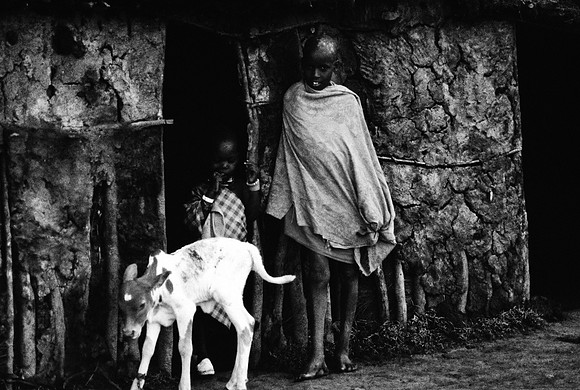 55422_SL_COLOR_TRIBE_CAMP_MASAI_KENYA_AFRICA_1989_3