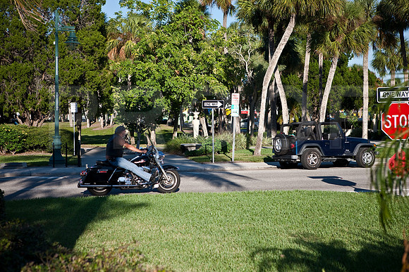 20081026_DVD80_DG_USA_Sarasota_FL_5L8Y0986_full_blead
