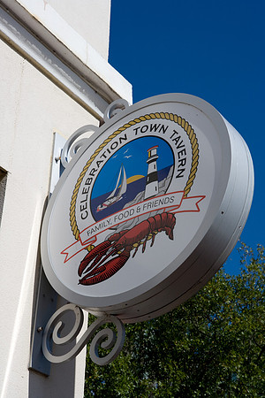 36201_DG_Color_USA_Osceola_County_Celebration_Town_FLZV4N7282