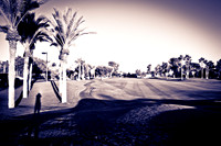 0031_La_Arizona_5L8Y5092-2