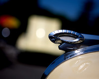 0026_DG_Mill_Valley_CA_USA_2009_5L8Y1803