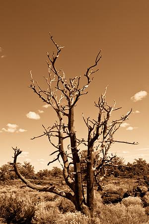 0020_Wyonming_To_Ketchem_Sun_Valley_ID_5L8Y7810