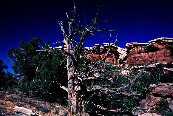 06790_B10_SL_COLOR_CANYONLAND_NAT_PARK_UT_97_03.jpg