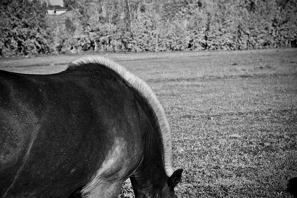 0021_Wyonming_To_Ketchem_Sun_Valley_ID_5L8Y8060