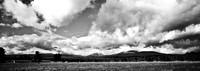 7569_FM_BW_XPAND_ARIZONA_01_1.jpg