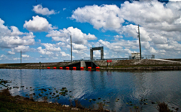 2527_EVERGLADES_MIAMI_FLORIDA_AOM_20090315__A0M1185