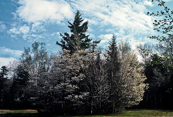 64039_B1_SL_COLOR_UP STATE_NY_86_07.jpg