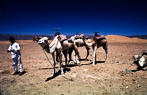 3194_SL_COLOR_TAMGROUTE_DUNES_MAROCCO_II_1998_14