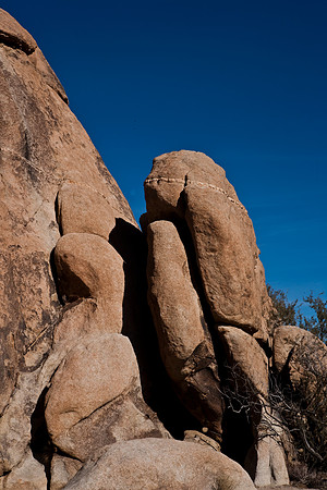 06646_DG_COLOR_JOSHUA_TREE_NAT_PARK_29_PALMS_CALIFORNIA_CA_USA_2007_ZV4N_448