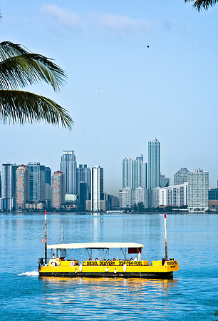 2704_84744_ZV4N_8212_Miami_Florida_USA