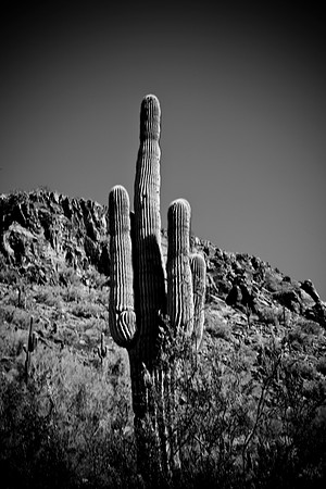 0031_La_Arizona_5L8Y5433
