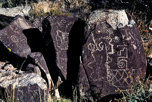 47899_B16_SL_COLOR_TREE_RIVER_PETROGLYTH_NAT_RES_NAT_MNT_HWY LOOP20_NM_97_1313.jpg