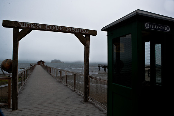 06583_ZV4N_3717_DG_COLOR_NICKS_COVE_MARSHALL_CALIFORNIA_CA_USA_2007